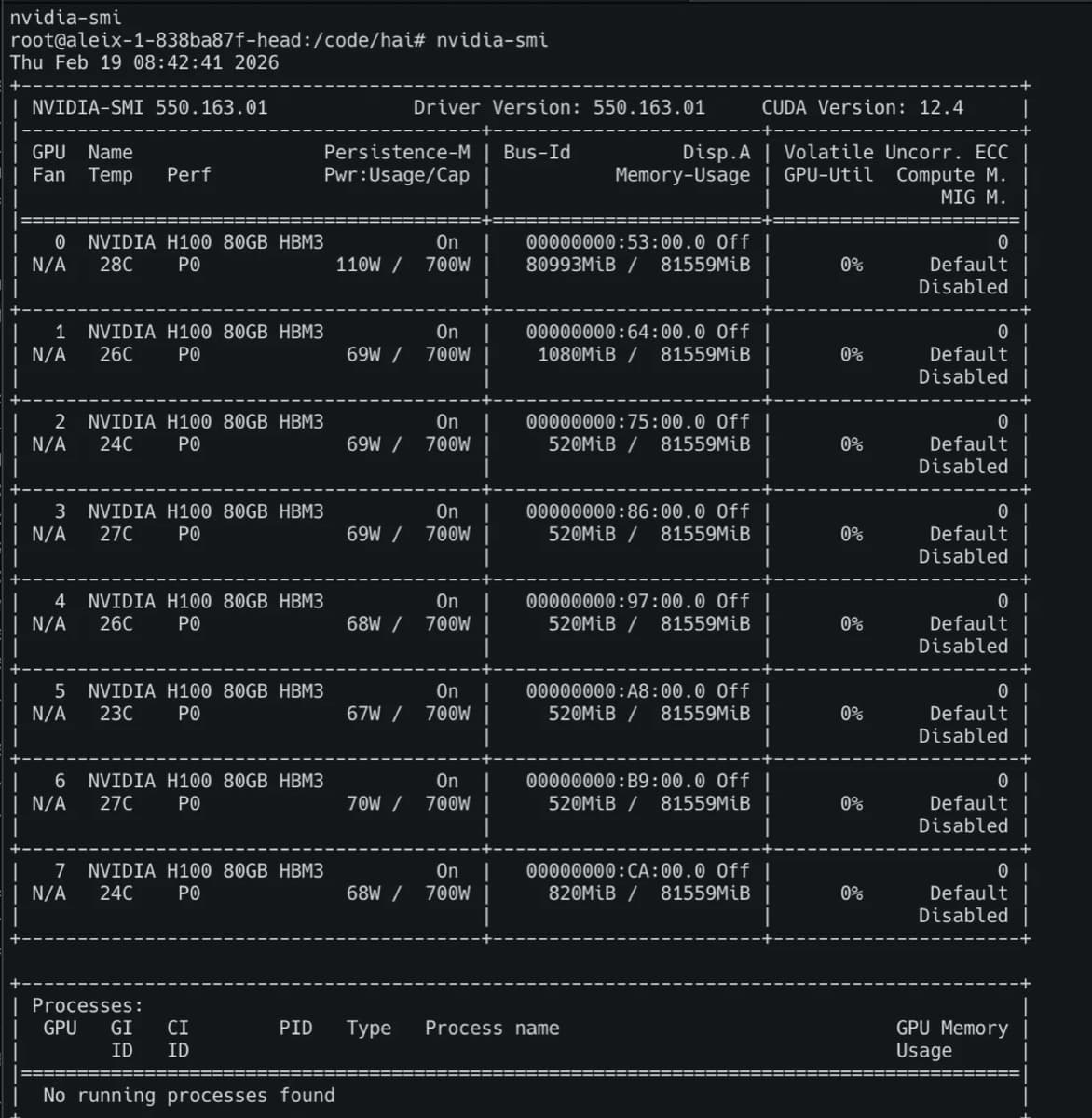 Terminal output from nvidia-smi showing GPU 0 using 80,993 MiB and seven other H100 GPUs using residual VRAM, with no running processes listed.